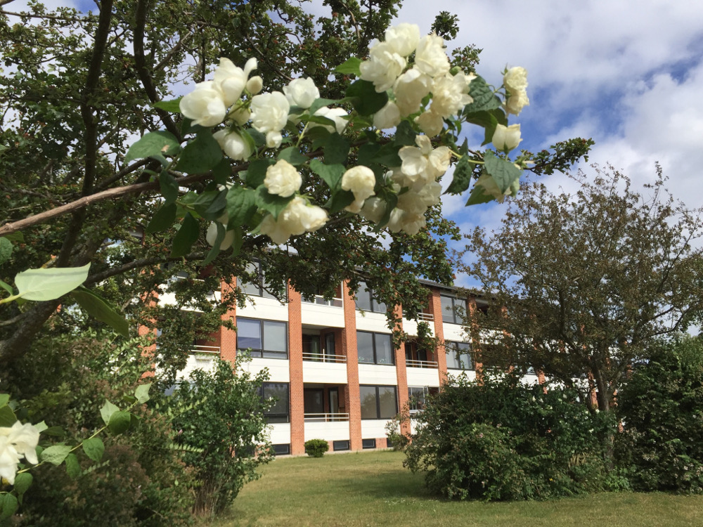 omraade_afd2-3-bagom117